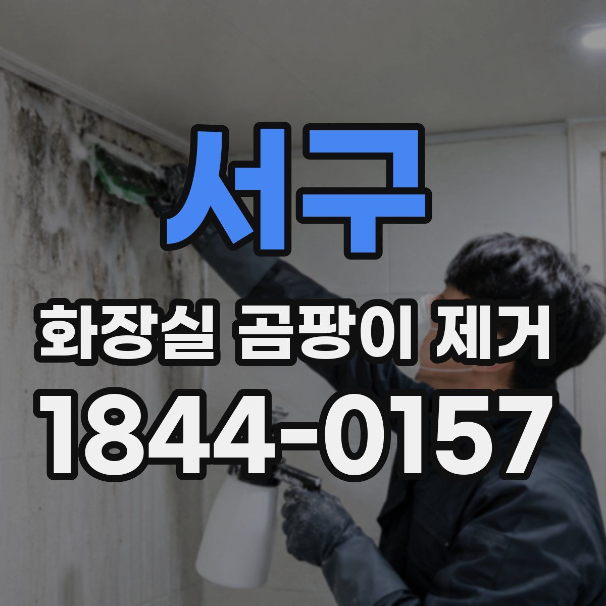 서구 화장실 곰팡이 제거