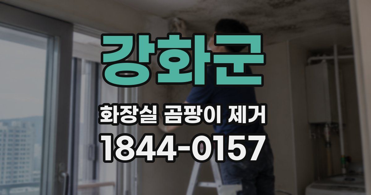 강화군 화장실 곰팡이 제거