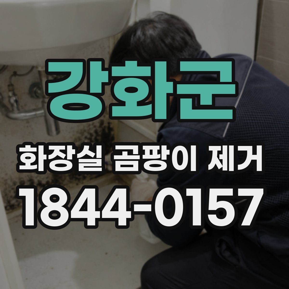 강화군 화장실 곰팡이 제거