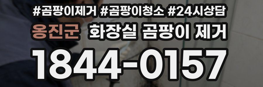옹진군 화장실 곰팡이 제거