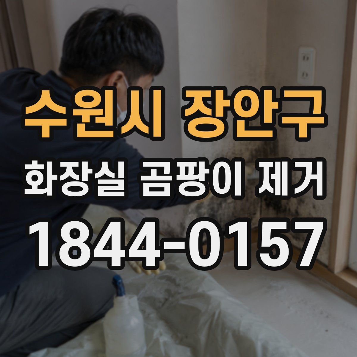 수원시 장안구 화장실 곰팡이 제거