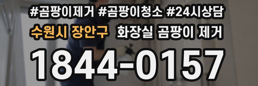 수원시 장안구 화장실 곰팡이 제거
