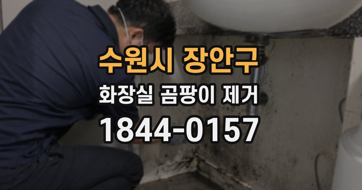 수원시 장안구 화장실 곰팡이 제거