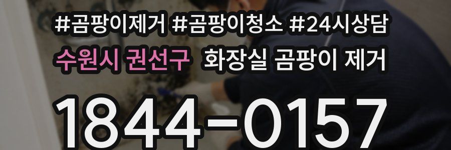 수원시 권선구 화장실 곰팡이 제거
