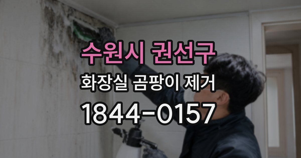 수원시 권선구 화장실 곰팡이 제거