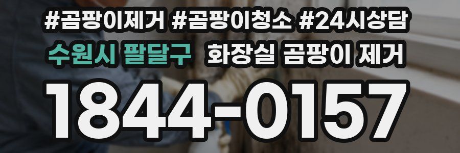 수원시 팔달구 화장실 곰팡이 제거