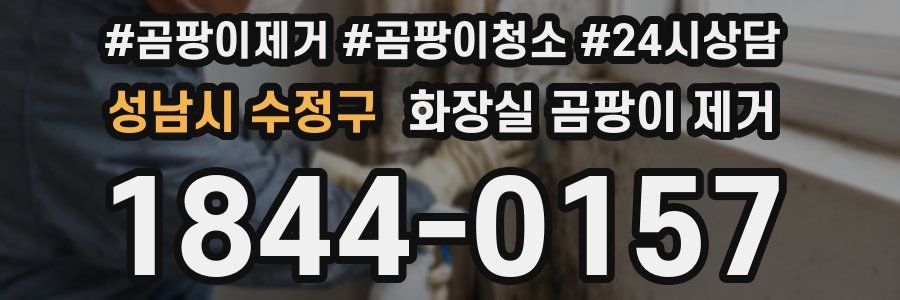 성남시 수정구 화장실 곰팡이 제거