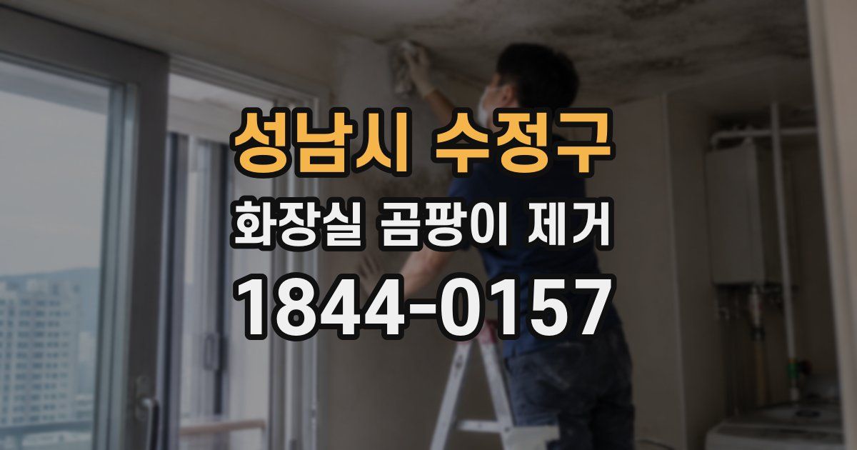 성남시 수정구 화장실 곰팡이 제거