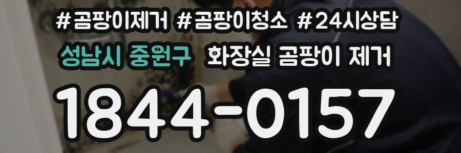 성남시 중원구 화장실 곰팡이 제거