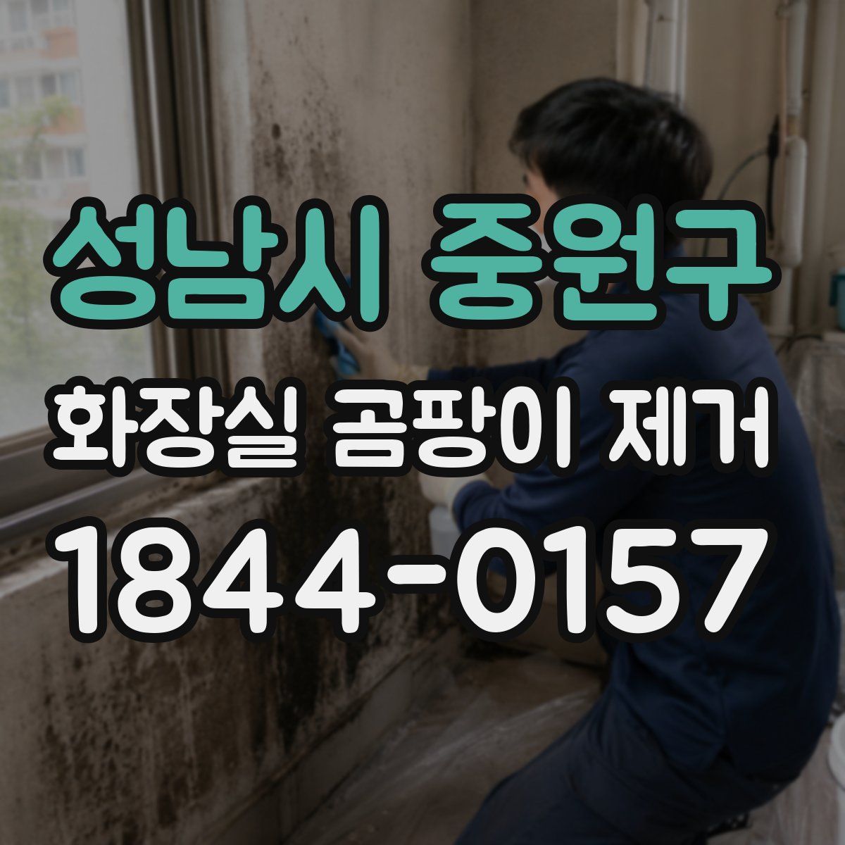 성남시 중원구 화장실 곰팡이 제거