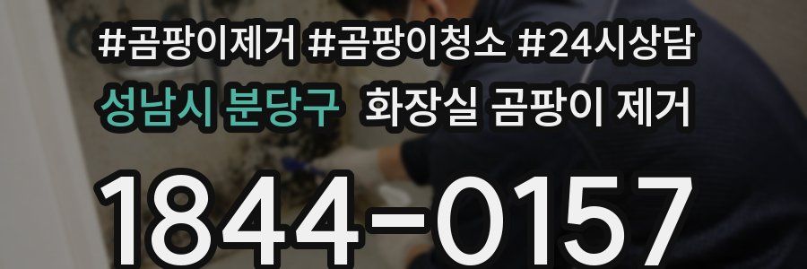 성남시 분당구 화장실 곰팡이 제거