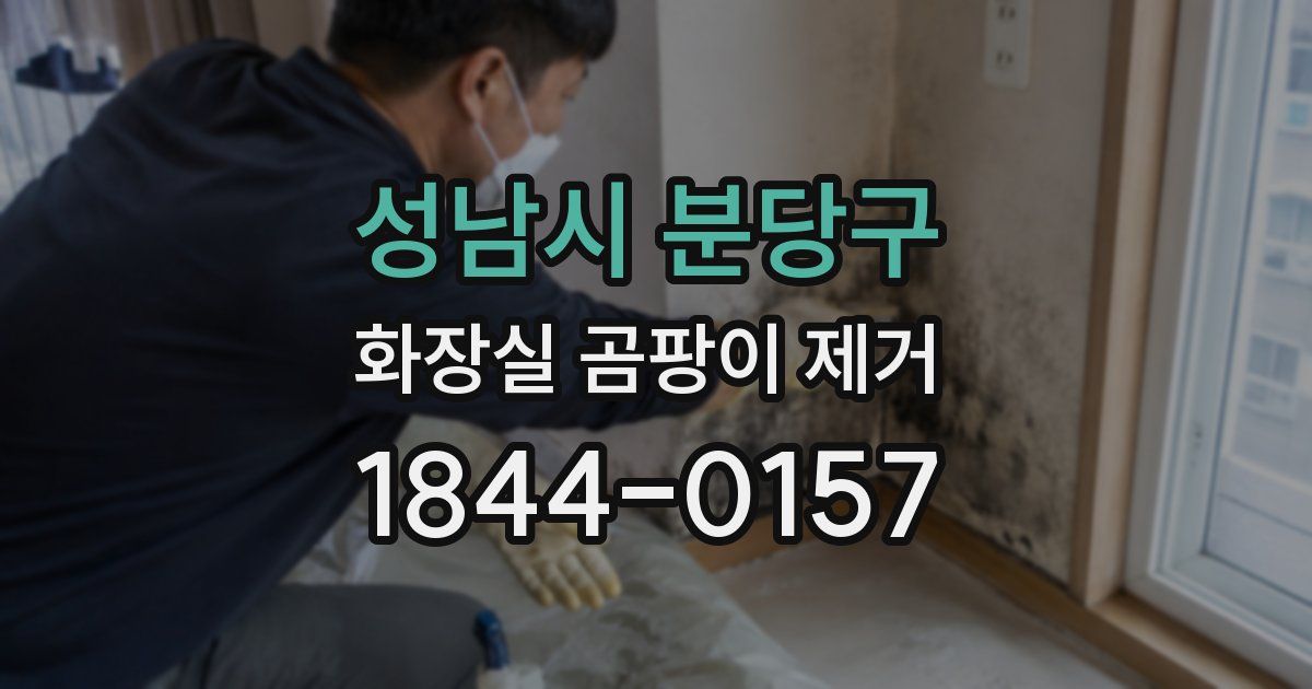 성남시 분당구 화장실 곰팡이 제거