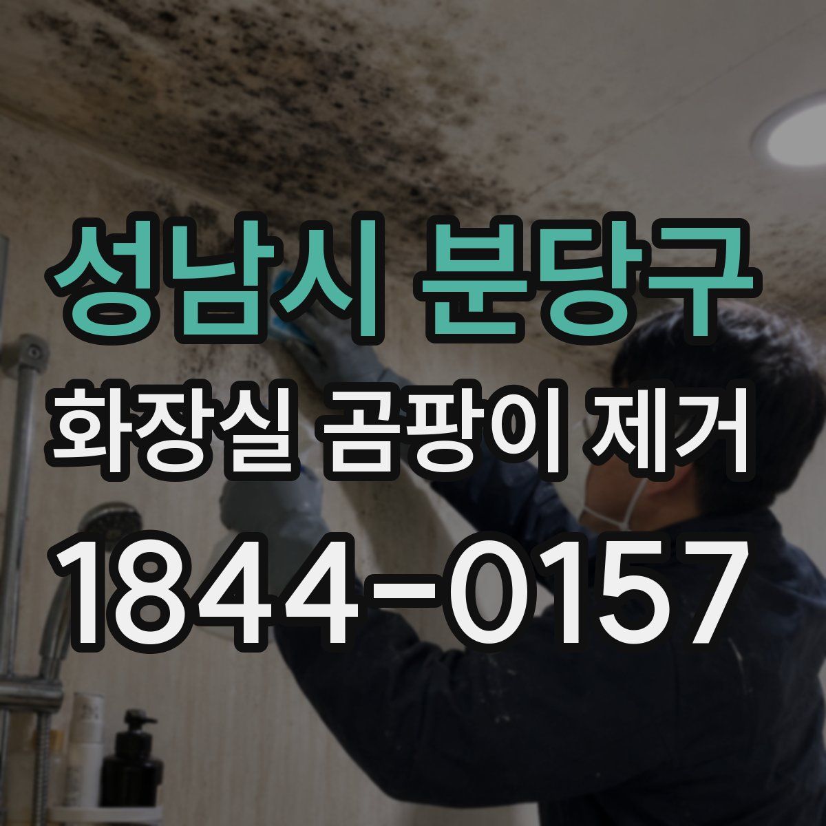 성남시 분당구 화장실 곰팡이 제거