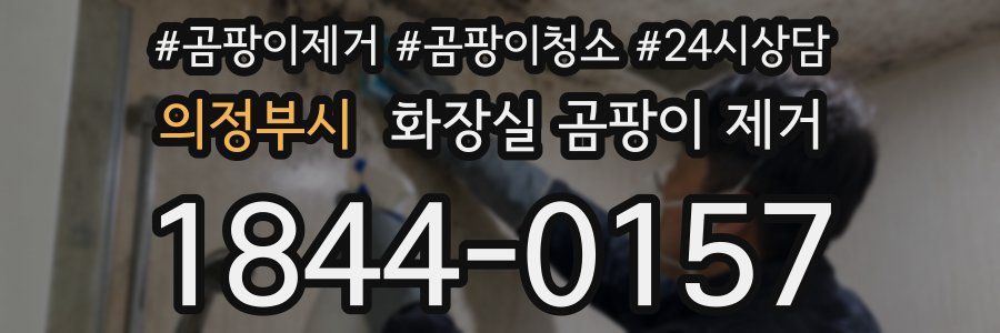 의정부시 화장실 곰팡이 제거