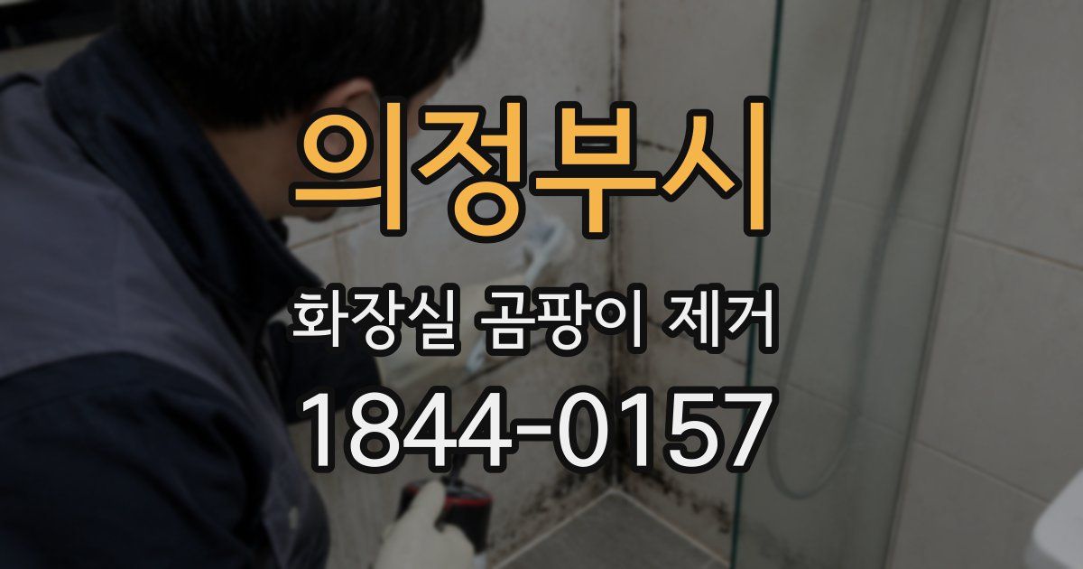 의정부시 화장실 곰팡이 제거