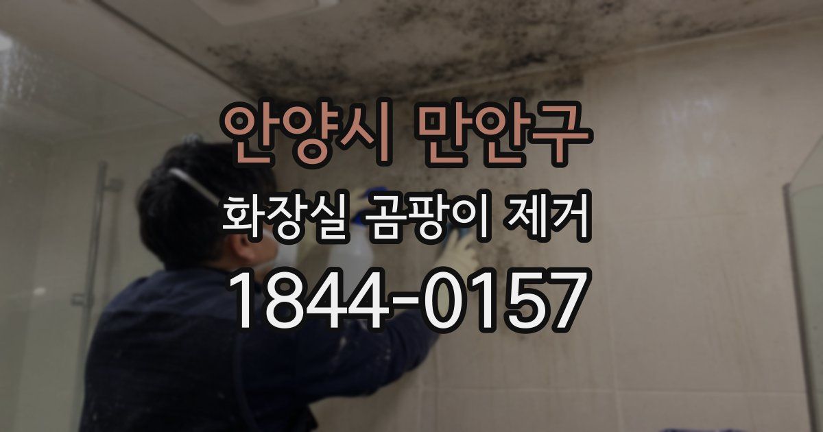안양시 만안구 화장실 곰팡이 제거
