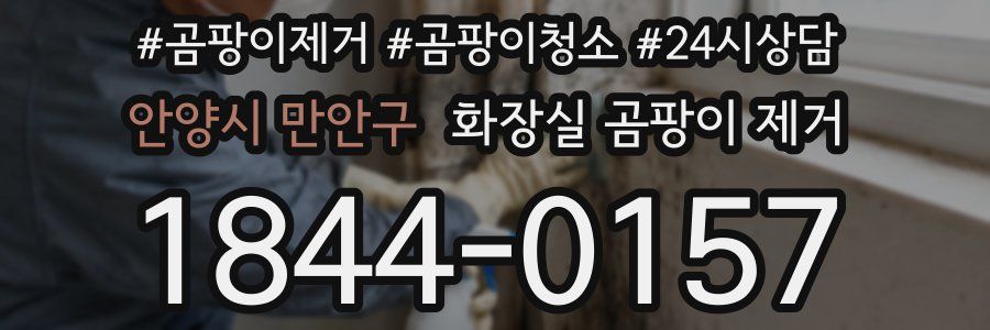 안양시 만안구 화장실 곰팡이 제거