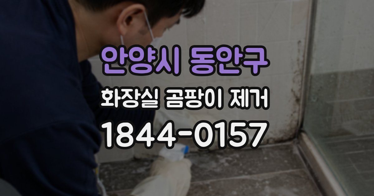 안양시 동안구 화장실 곰팡이 제거