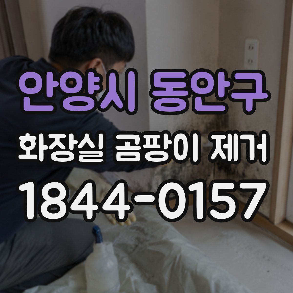 안양시 동안구 화장실 곰팡이 제거