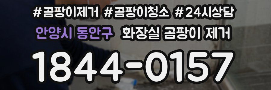 안양시 동안구 화장실 곰팡이 제거