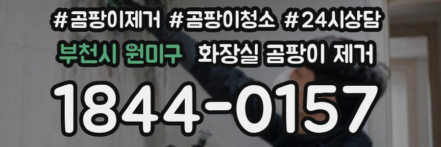 부천시 원미구 화장실 곰팡이 제거