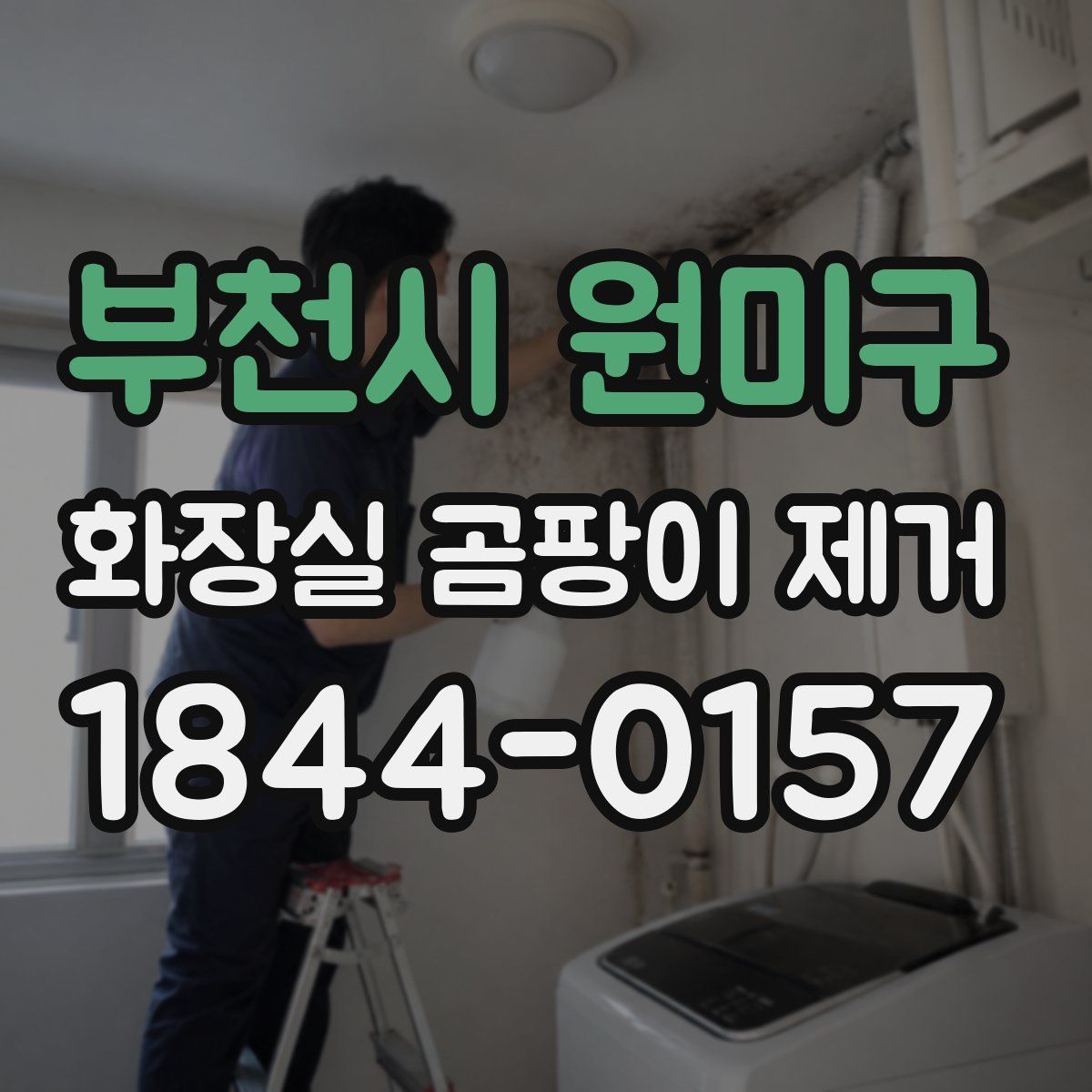 부천시 원미구 화장실 곰팡이 제거