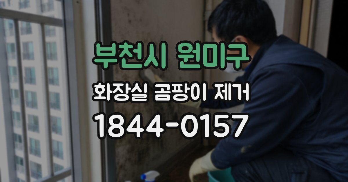 부천시 원미구 화장실 곰팡이 제거