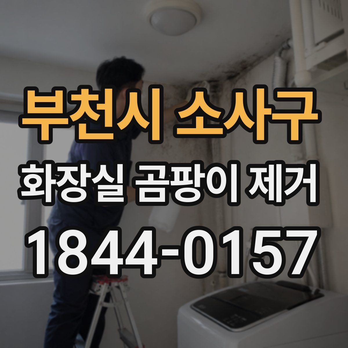 부천시 소사구 화장실 곰팡이 제거 아이와 반려동물 있는 집의 안전 수칙