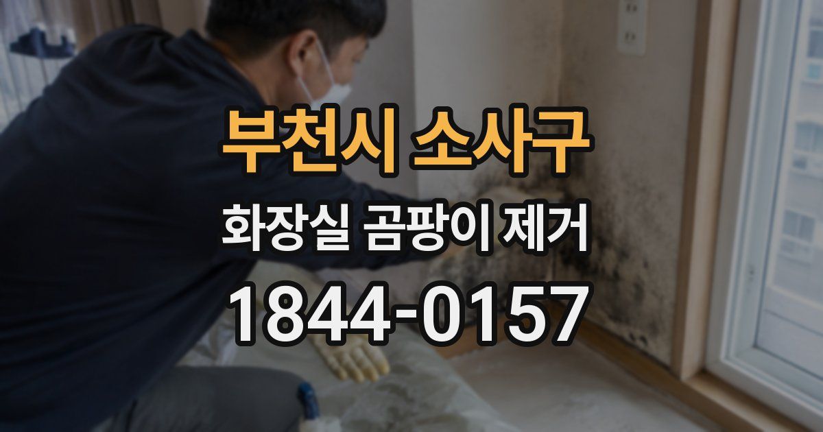 부천시 소사구 화장실 곰팡이 제거