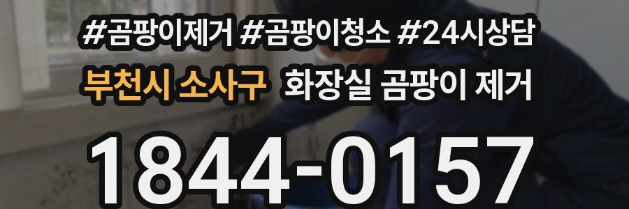 부천시 소사구 화장실 곰팡이 제거