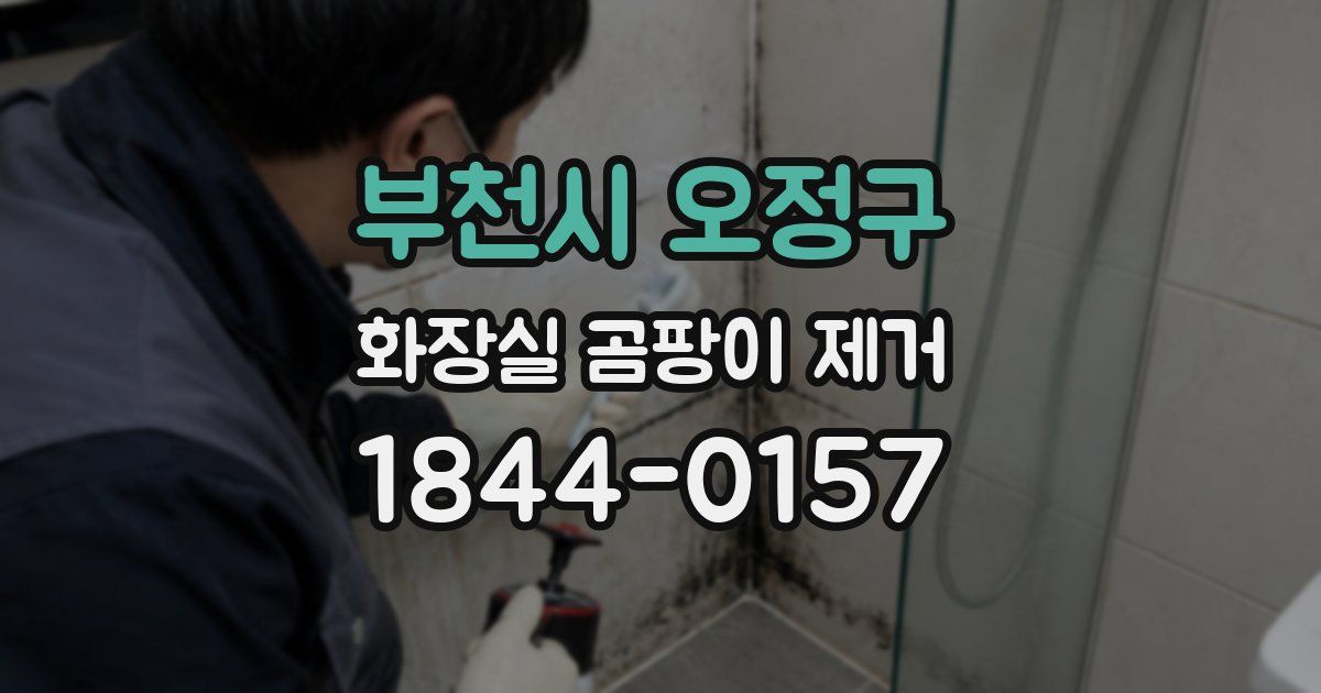 부천시 오정구 화장실 곰팡이 제거