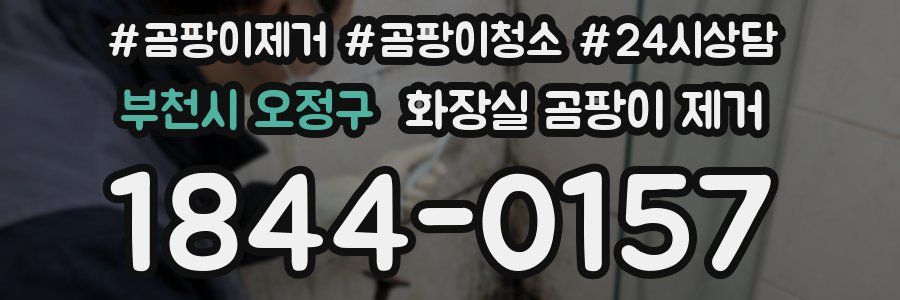 부천시 오정구 화장실 곰팡이 제거
