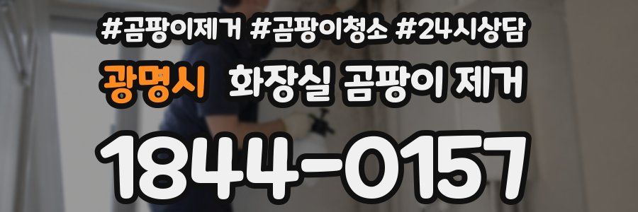 광명시 화장실 곰팡이 제거