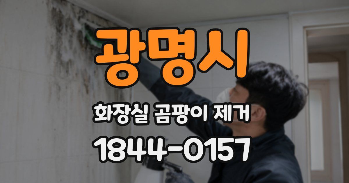 광명시 화장실 곰팡이 제거