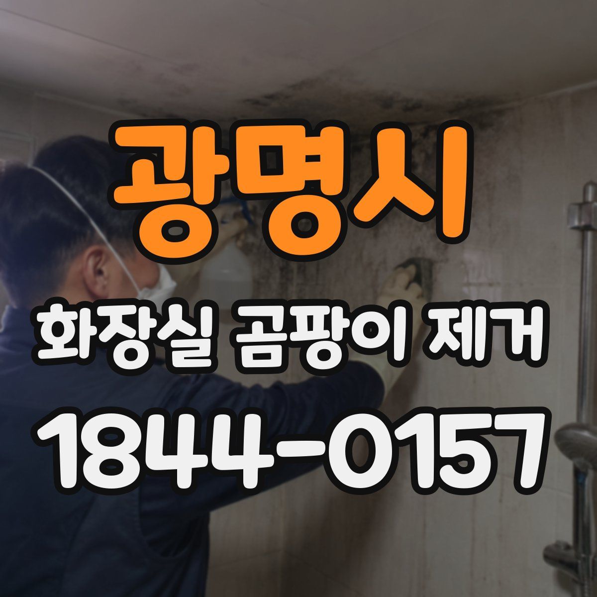 광명시 화장실 곰팡이 제거