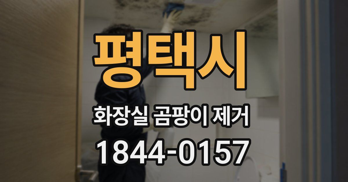 평택시 화장실 곰팡이 제거