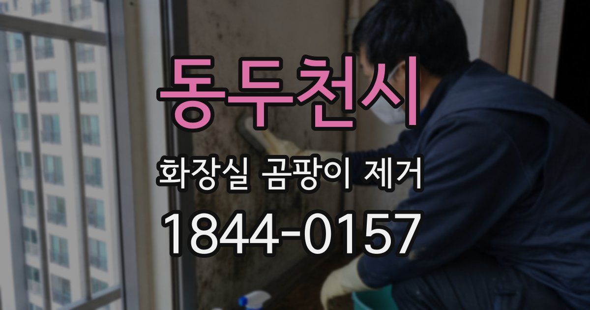 동두천시 화장실 곰팡이 제거