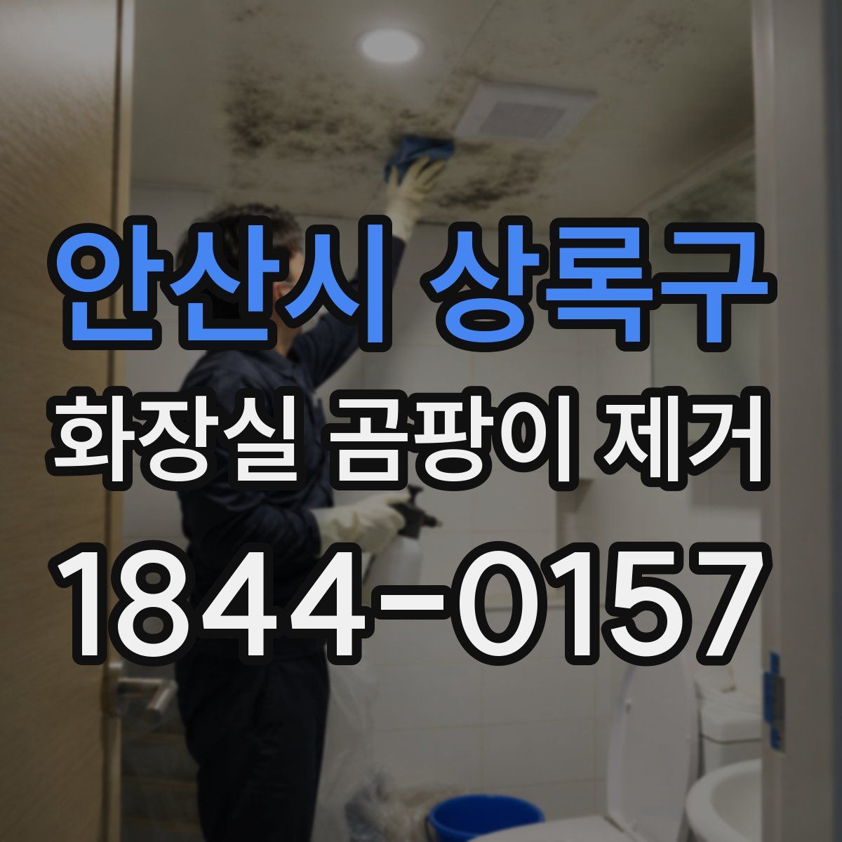 안산시 상록구 화장실 곰팡이 제거