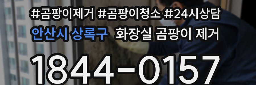 안산시 상록구 화장실 곰팡이 제거