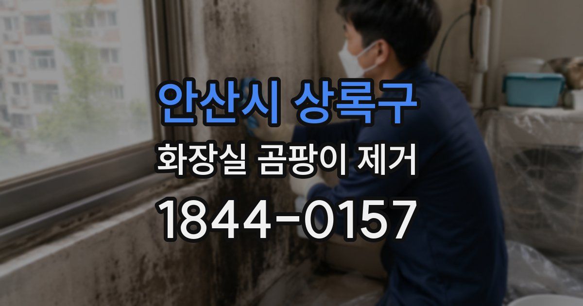 안산시 상록구 화장실 곰팡이 제거