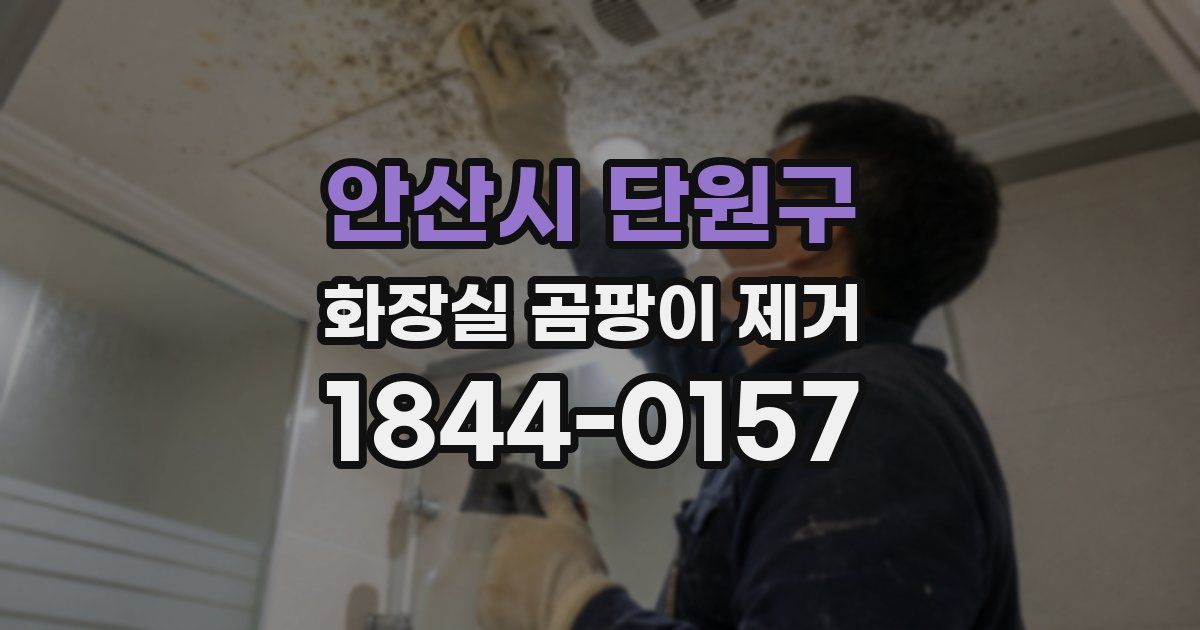 안산시 단원구 화장실 곰팡이 제거