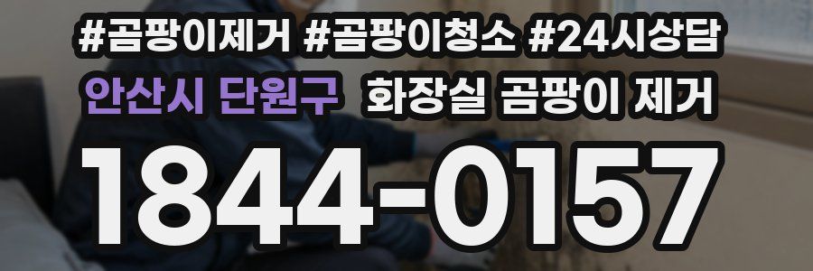 안산시 단원구 화장실 곰팡이 제거