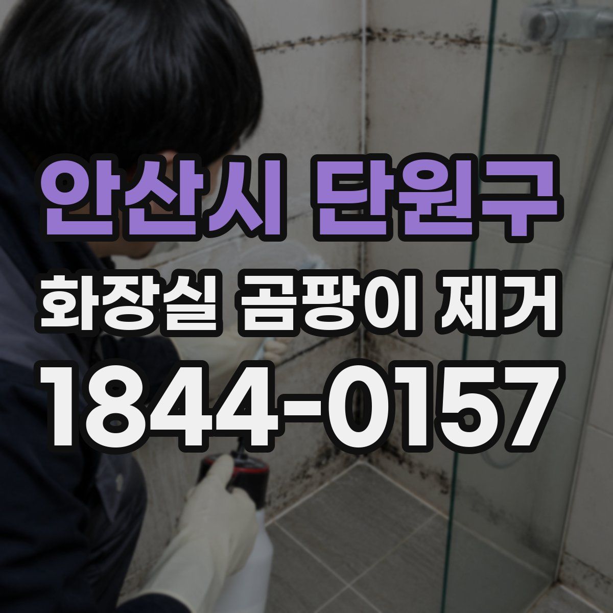 안산시 단원구 화장실 곰팡이 제거