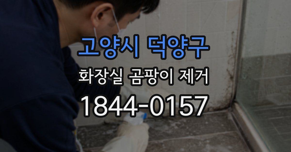 고양시 덕양구 화장실 곰팡이 제거