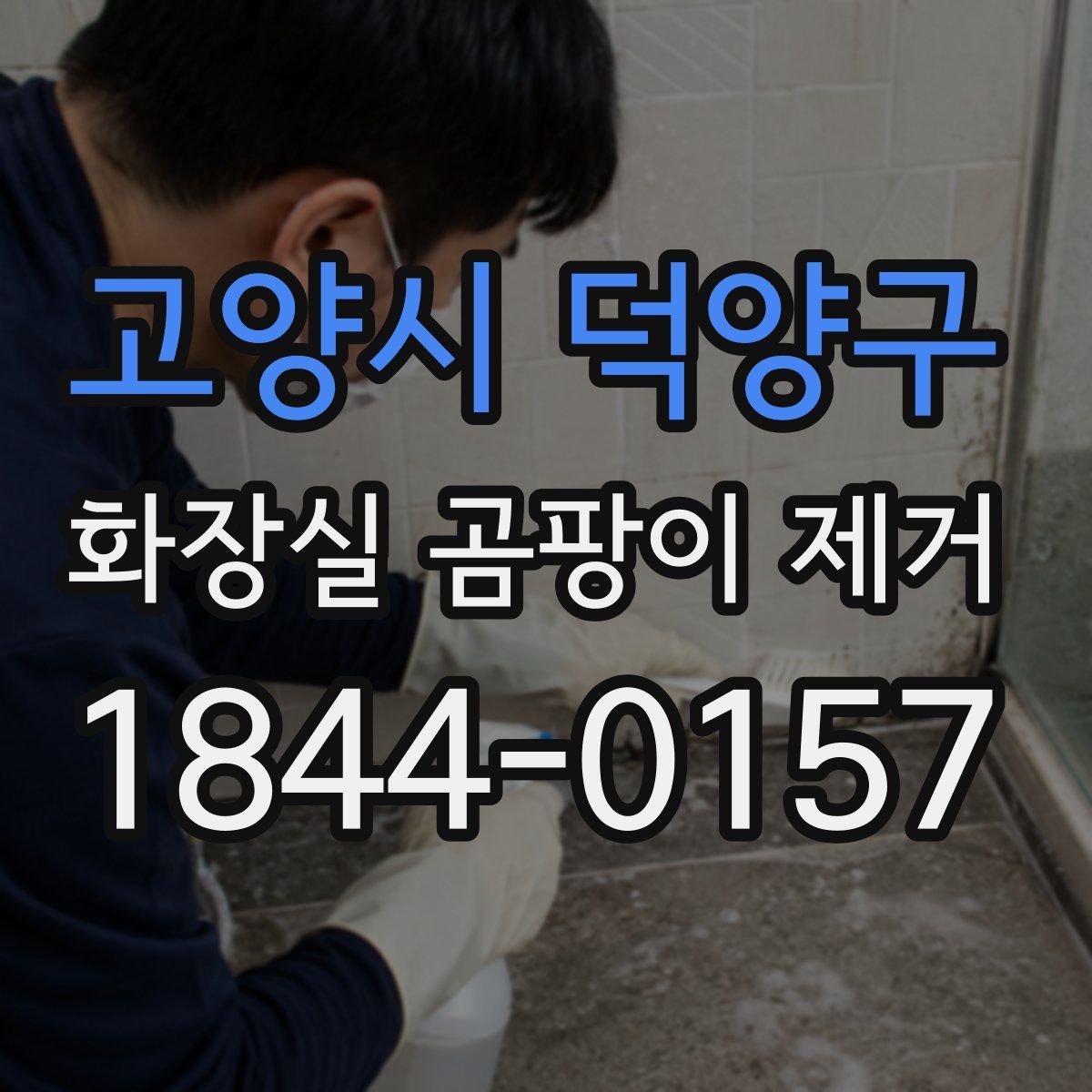 고양시 덕양구 화장실 곰팡이 제거