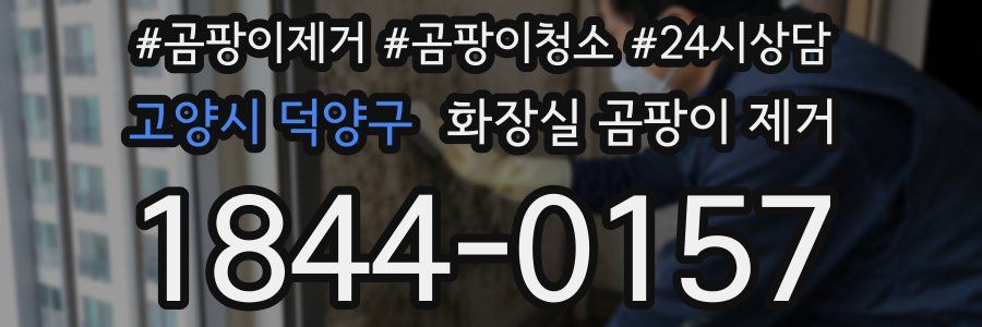 고양시 덕양구 화장실 곰팡이 제거