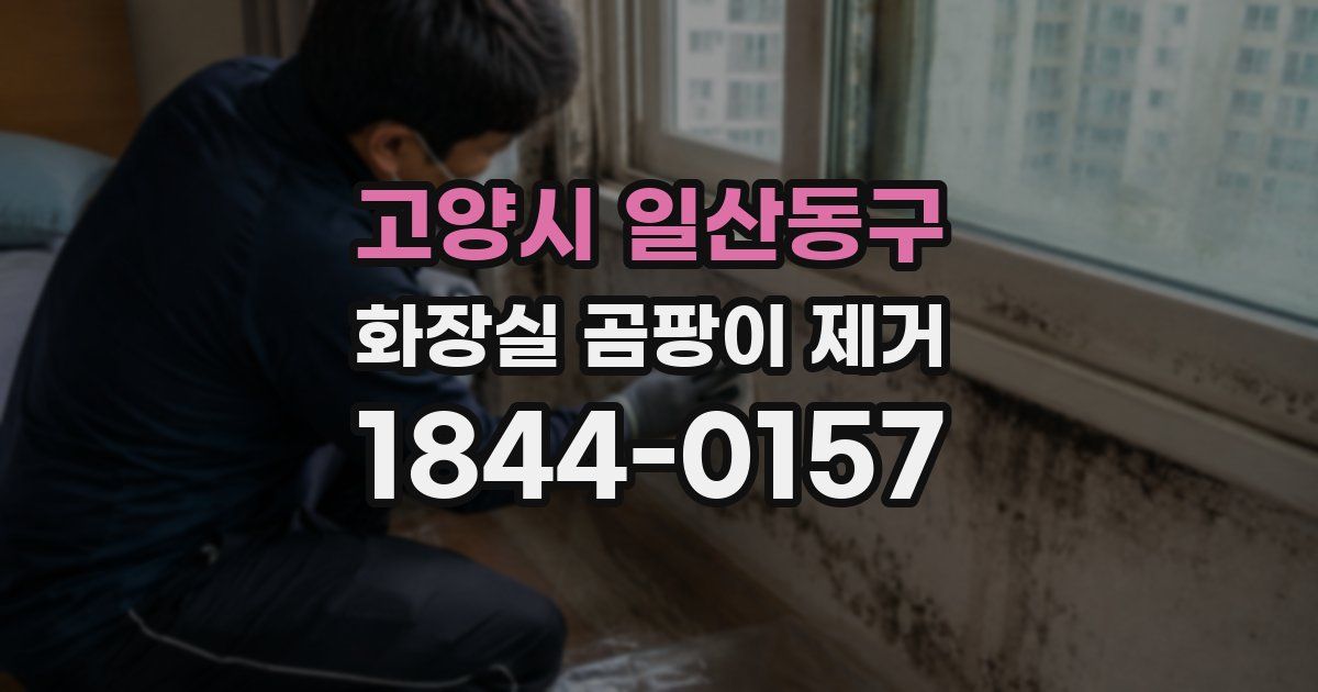 고양시 일산동구 화장실 곰팡이 제거