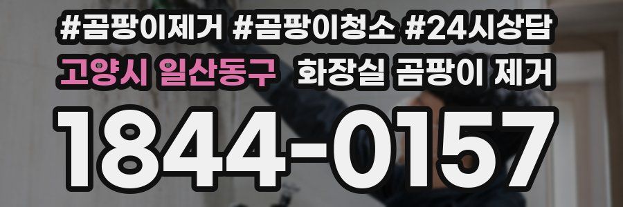 고양시 일산동구 화장실 곰팡이 제거