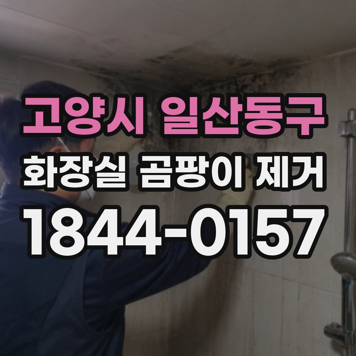 고양시 일산동구 화장실 곰팡이 제거