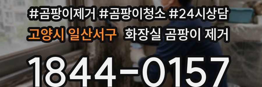 고양시 일산서구 화장실 곰팡이 제거